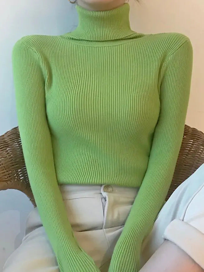 CashAura Sweater
