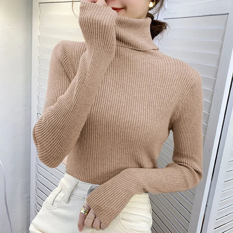 CashAura Sweater