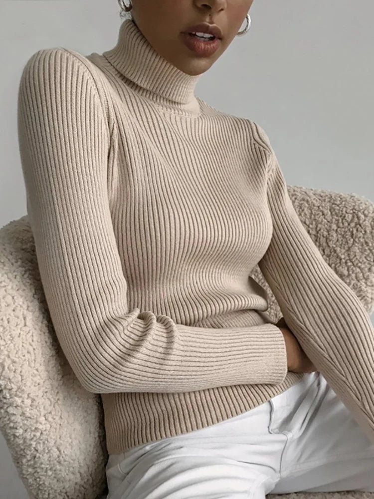 CashAura Sweater