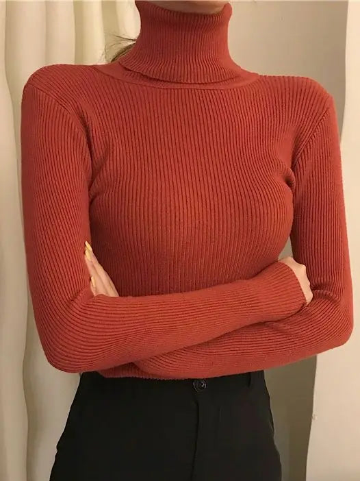 CashAura Sweater