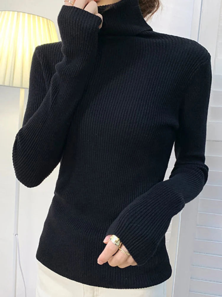 CashAura Sweater