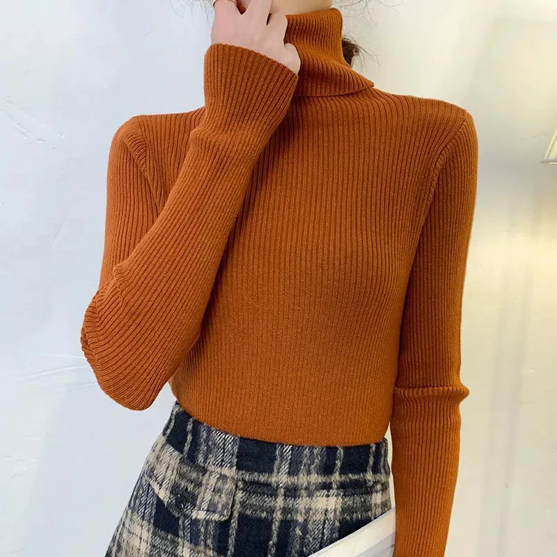 CashAura Sweater