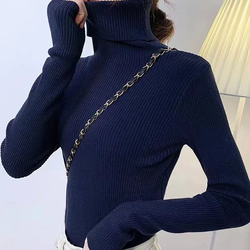 CashAura Sweater