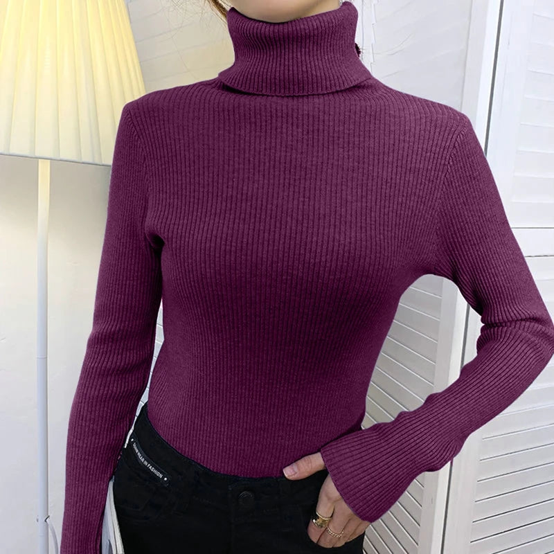 CashAura Sweater